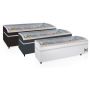 Холодильно-морозильна бонета 1030 л Tefcold Shallow 250-CF біла