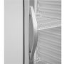 Холодильный шкаф Tefcold UR400G-I со стеклом
