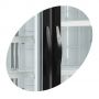 Морозильный шкаф Tefcold NF5000G-P со стеклянными дверьми